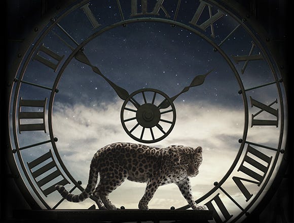Brand Focus: Cartier