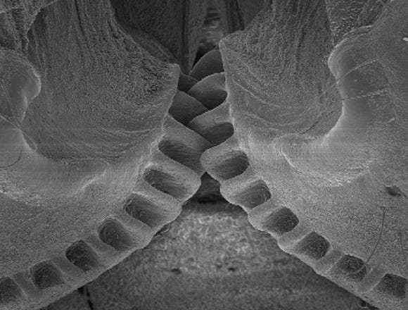 Technical: Gears